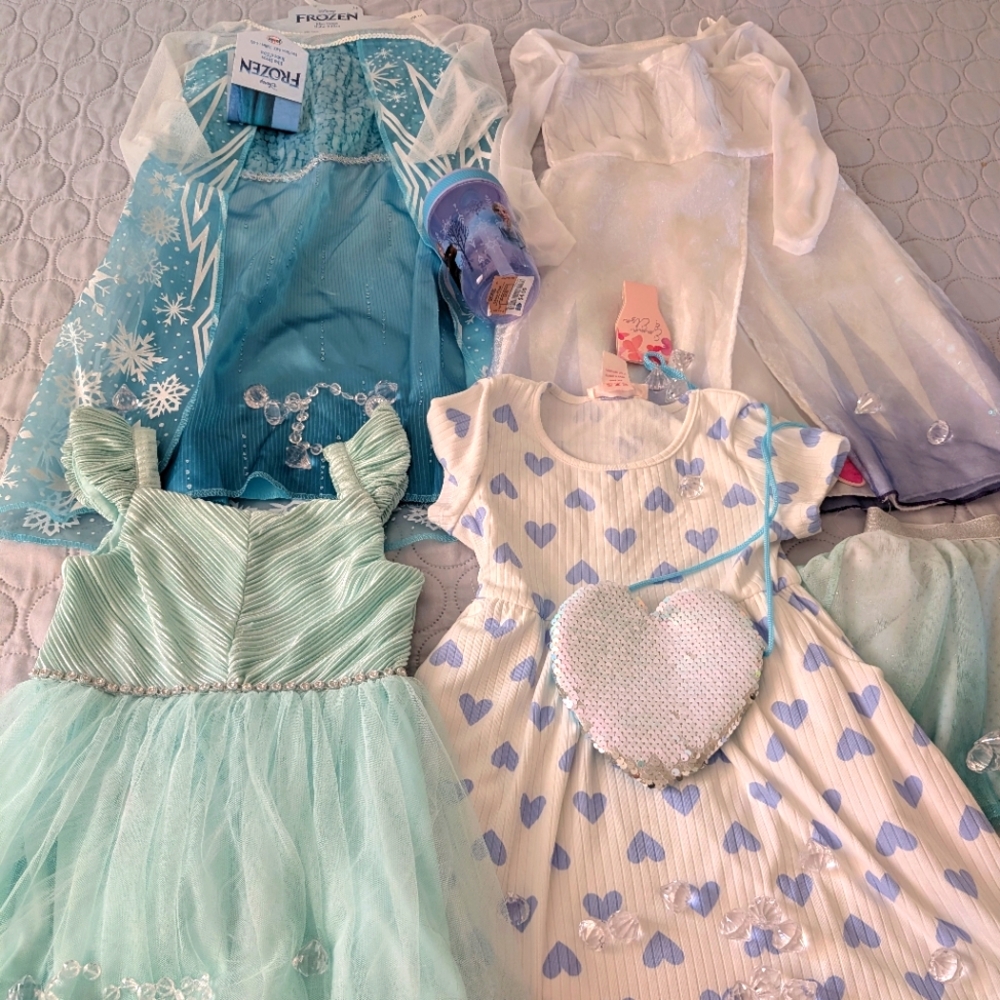 LOT of Elsa Frozen dresses and accessories 3T and 5T